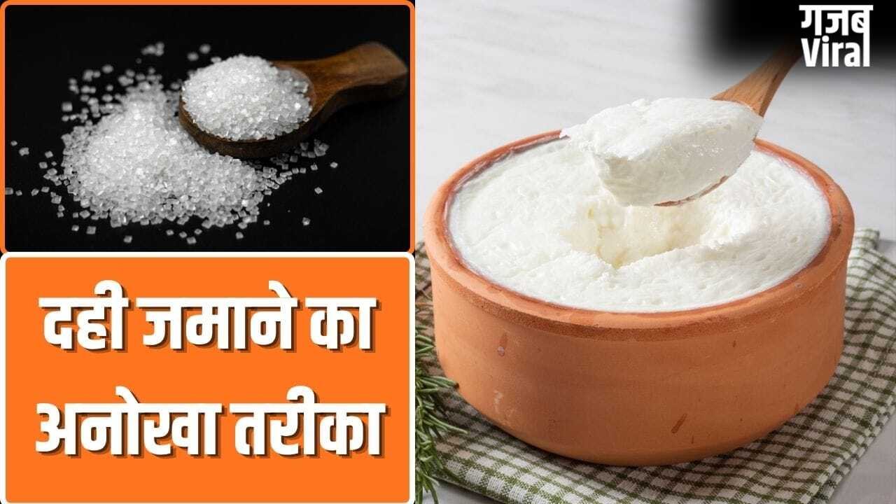 क्या दूध में चीनी मिलाकर दही जमाने से वो जल्दी खट्टा नहीं होता है?​