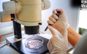 क्या IVF से बच्चे का लिंग चयन करना संभव है? जानिए नियम, एक्सपर्ट्स की राय​