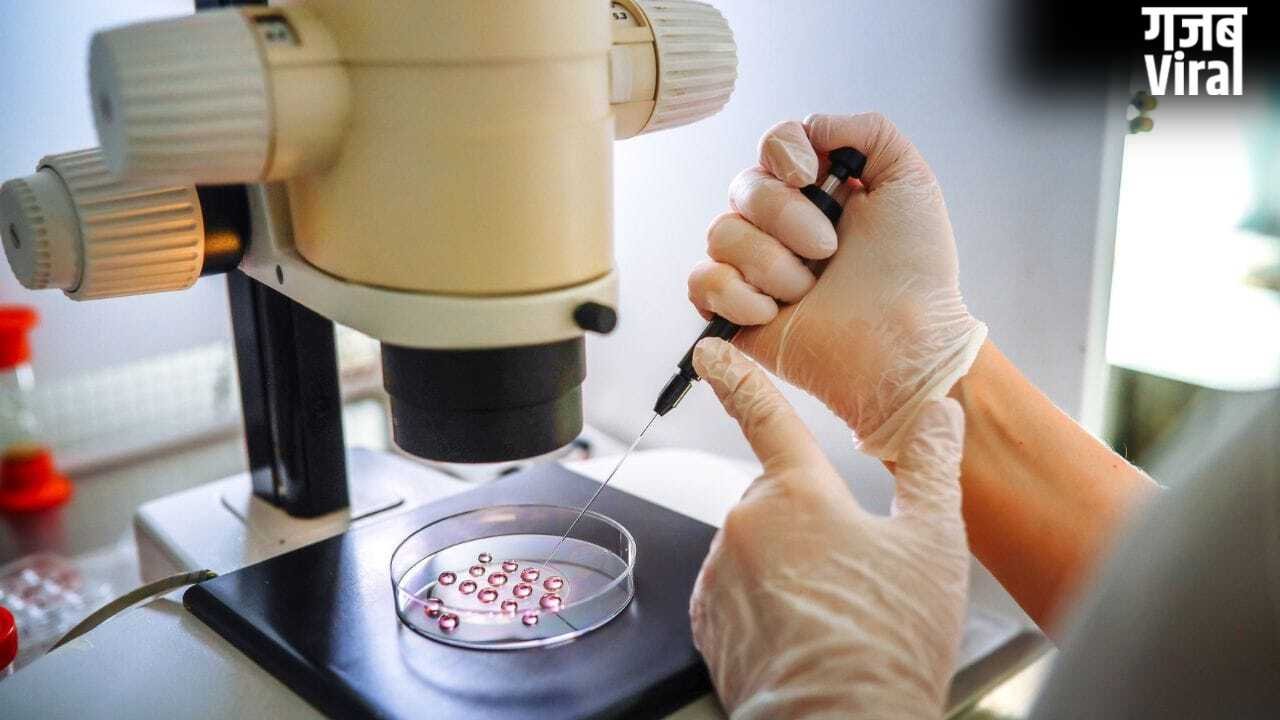क्या IVF से बच्चे का लिंग चयन करना संभव है? जानिए नियम, एक्सपर्ट्स की राय​