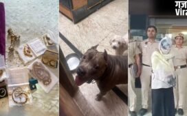 2 किलो सोना, 15 गोल्ड लोन अकाउंट, घर में पाले 15 खूंखार कुत्ते; दिल्ली की नौकरानी का खुला रहस्य