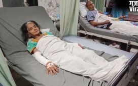 'खूनी' पालतू कुत्ते का आतंक: पहले दादी को उतारा मौत के घाट, अब मां को किया लहूलुहान
