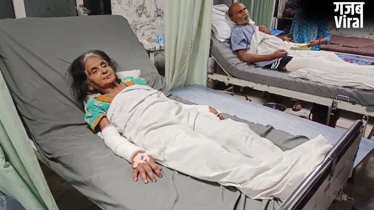 'खूनी' पालतू कुत्ते का आतंक: पहले दादी को उतारा मौत के घाट, अब मां को किया लहूलुहान