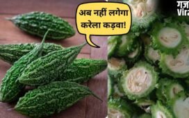 करेले को बनाएं स्वादिष्ट, मास्टरशेफ संजीव कपूर ने बताए कड़वाहट दूर करने के ये कारगर तरीके