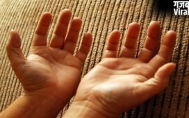 Ketu Parvat In Palmistry: अपनी हथेली में अभी देखें केतु पर्वत, जानें किस्मत में Success है या संघर्ष​