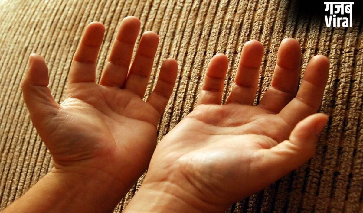 Ketu Parvat In Palmistry: अपनी हथेली में अभी देखें केतु पर्वत, जानें किस्मत में Success है या संघर्ष