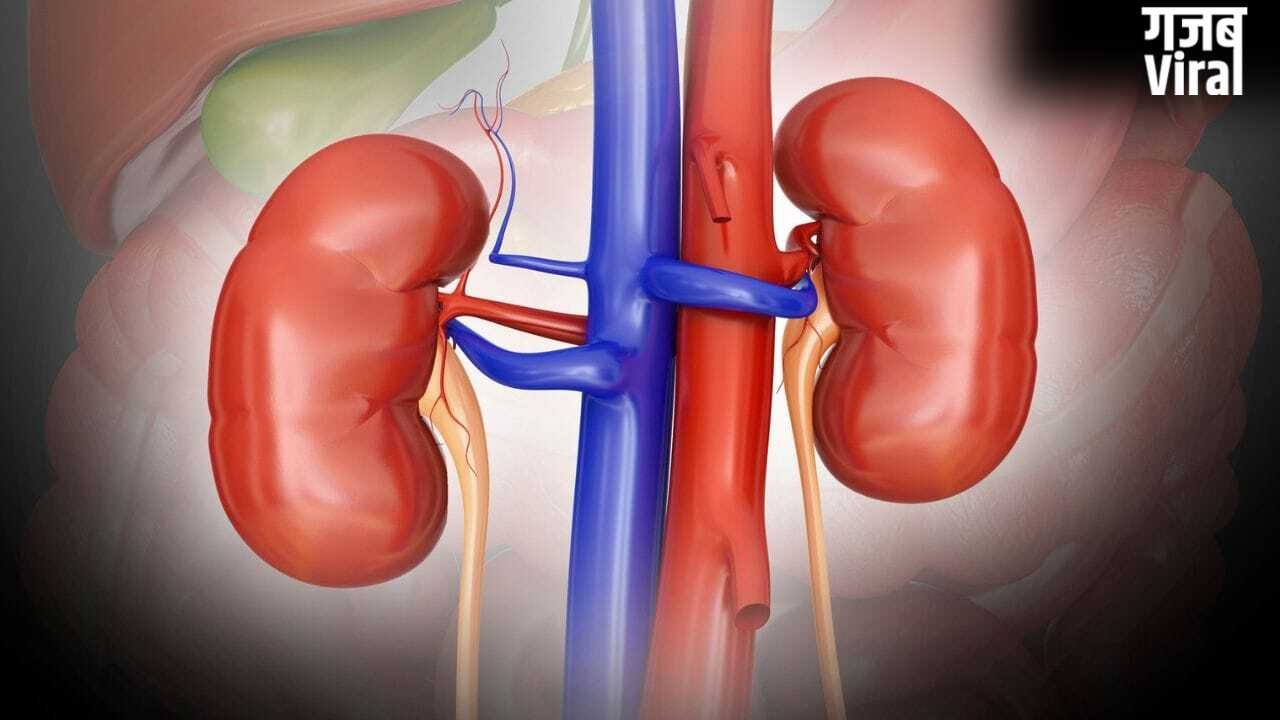 क्या हाई बीपी और डायबिटीज किडनी को नुकसान पहुंचा सकते हैं?​