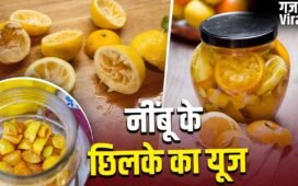 Lemon Peel Pickle: बड़े काम के हैं नींबू के छिलके, इससे बना लें ये टेस्टी अचार​
