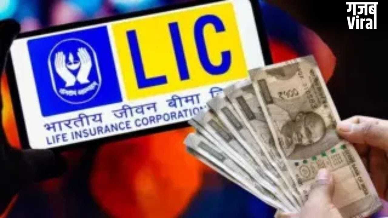 पढ़ाई और शादी की टेंशन खत्म! LIC के ये प्लान बनेंगे मजबूत सहारा