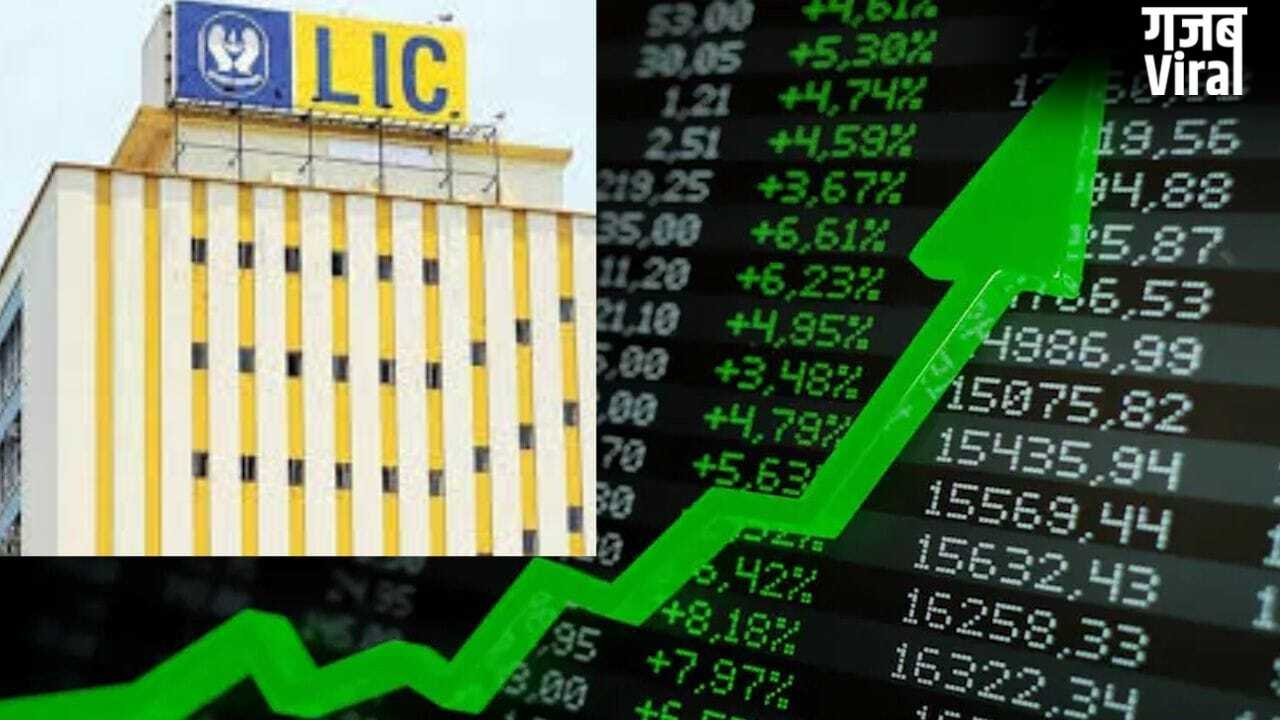 LIC Q4 Results: देश की सबसे बड़ी बीमा कंपनी का 23% बढ़ा मुनाफा, अब निवेशकों की जेब में आएगा ₹10 का डिविडेंड!​