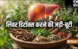 लिवर डिटॉक्स के लिए क्यों बेस्ट है मई का महीना, शरीर से सारा ज़हरीला पदार्थ बाहर निकल जाएगा, करें ये उपाय​