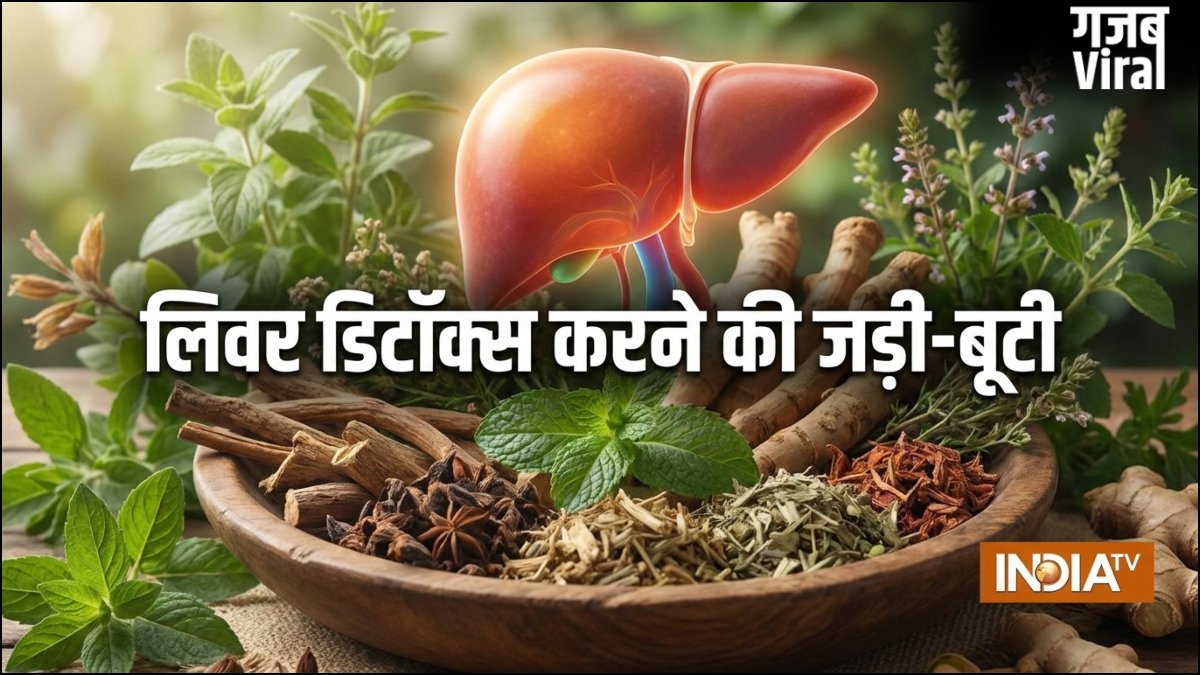 लिवर डिटॉक्स के लिए क्यों बेस्ट है मई का महीना, शरीर से सारा ज़हरीला पदार्थ बाहर निकल जाएगा, करें ये उपाय