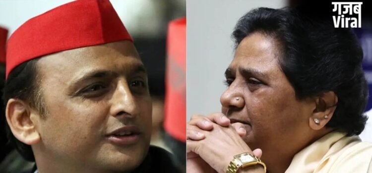‘ब्राह्मण समाज से क्षमा-याचना कर पश्चाताप करें अखिलेश यादव’, राजकुमार भाटी की टिप्पणी पर मायावती ने सपा प्रमुख को दी सलाह​
