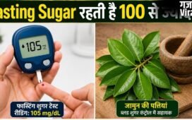 खाली पेट ब्लड शुगर 100 MG/DL से ज्यादा रहती है तो जामुन की पत्तियां चबाएं, आयुर्वेद विशेषज्ञ से जानिए शुगर कंट्रोल में कैसे मददगार हैं ये लीव्स​