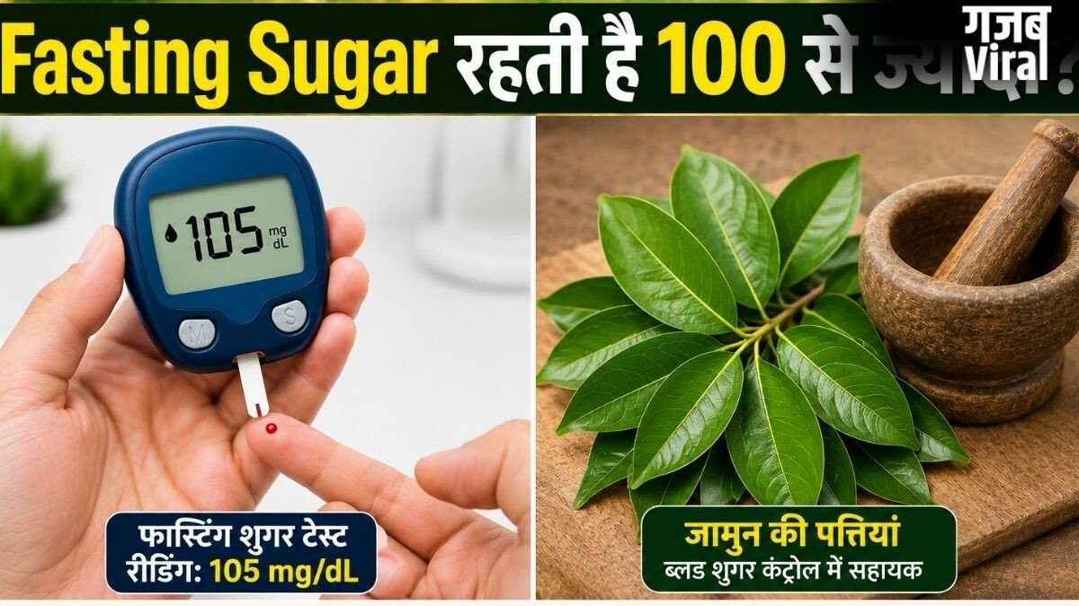 खाली पेट ब्लड शुगर 100 MG/DL से ज्यादा रहती है तो जामुन की पत्तियां चबाएं, आयुर्वेद विशेषज्ञ से जानिए शुगर कंट्रोल में कैसे मददगार हैं ये लीव्स