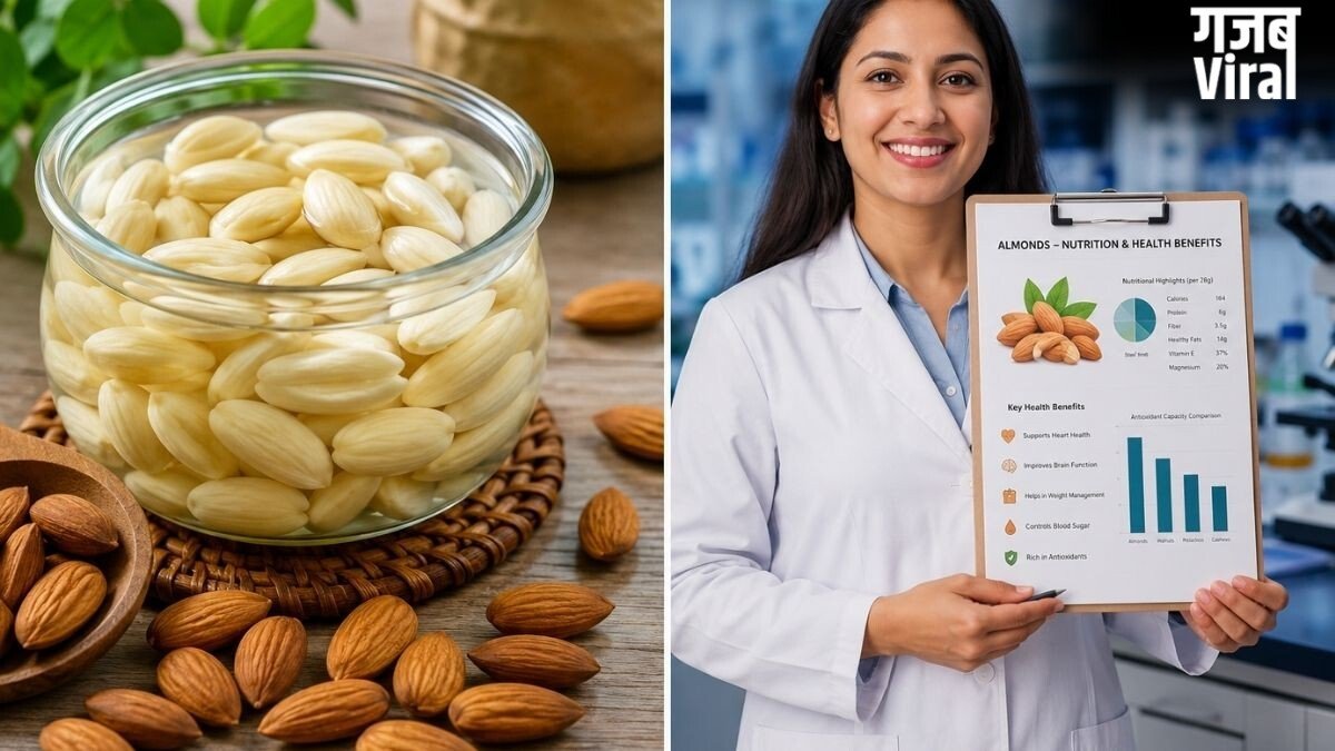 रोजाना बादाम खाने से सुधर सकती है गट हेल्थ, मेटाबॉलिज्म में होगा सुधार और घट सकता है मोटापा, जानिए वैज्ञानिक रिसर्च