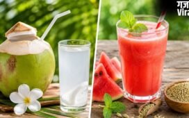 Summer Morning Drinks: गर्मियों में भूख को कंट्रोल रखेंगे ये 5 मॉर्निंग ड्रिंक्स, दिनभर रहेंगे एनर्जेटिक; डायटीशियन से जानिए बनाने का तरीका​