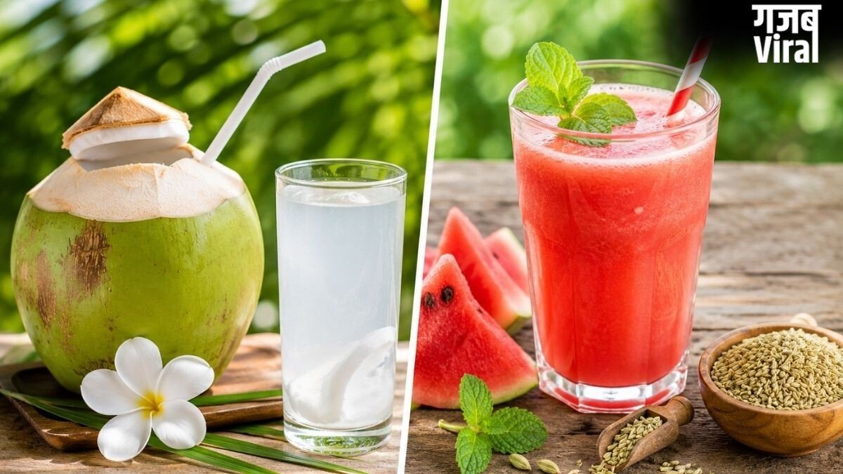 Summer Morning Drinks: गर्मियों में भूख को कंट्रोल रखेंगे ये 5 मॉर्निंग ड्रिंक्स, दिनभर रहेंगे एनर्जेटिक; डायटीशियन से जानिए बनाने का तरीका​