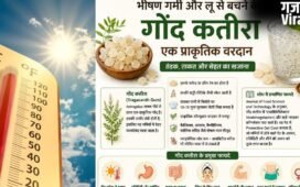 गर्मियों का ‘अमृत’ है गोंद कतीरा, लेकिन क्या आप भी कर रहे हैं ये बड़ी भूल? एक्सपर्ट से जानिए सही तरीका और फायदे​