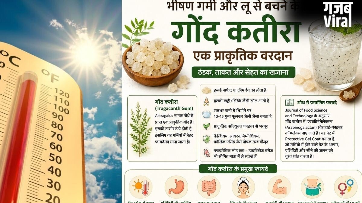 गर्मियों का ‘अमृत’ है गोंद कतीरा, लेकिन क्या आप भी कर रहे हैं ये बड़ी भूल? एक्सपर्ट से जानिए सही तरीका और फायदे​