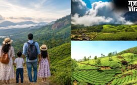 परिवार के साथ घूम आएं केरल का खूबसूरत हिल स्टेशन मुन्नार, 3 दिन की ट्रिप के लिए ऐसे बनाएं प्लान​