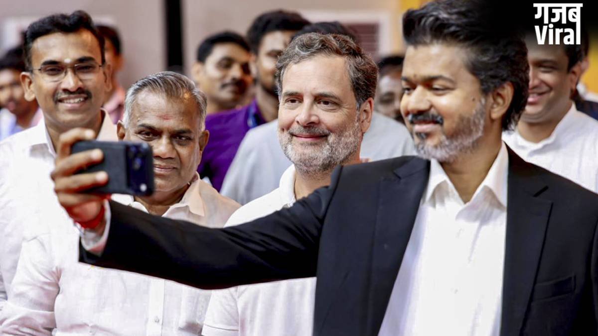 स्टाफ की मदद में जुटे विजय, साथ मिलकर उठाई टेबल, इंप्रेस हुए थलापति के फैन, राहुल गांधी का रिएक्शन वायरल​
