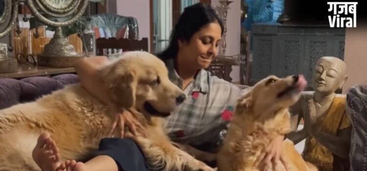 ‘कुत्ते पाल लो’, एक्ट्रेस ने शादी-बच्चों के प्रेशर पर जवान लड़कियों को दी अजीब सलाह, खुद 2 बेटों की हैं मां​