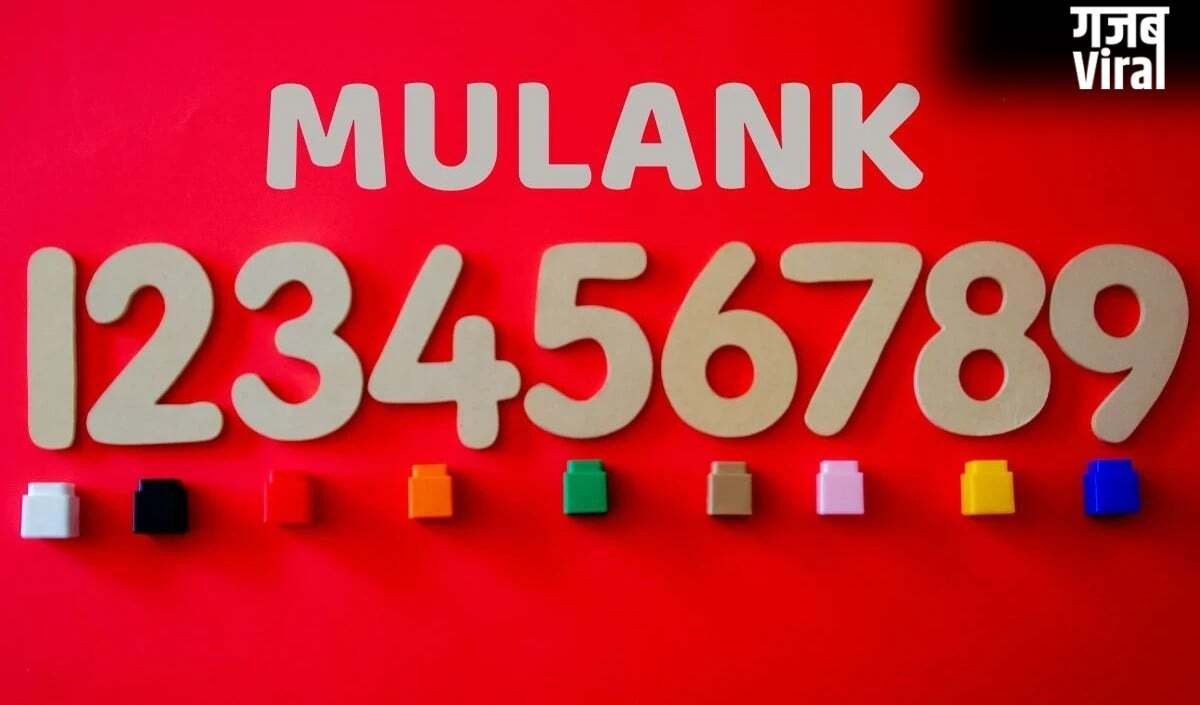 Numerology 11 May: किन मूलांक वालों को मिलेगा Money और बंपर Success? जन्मतिथि से जानें अपना भविष्यफल​