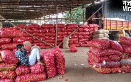 किसानों का सारा प्याज खरीदेगी सरकार, इस भाव पर होगी खरीद, चेक करें डिटेल्स​
