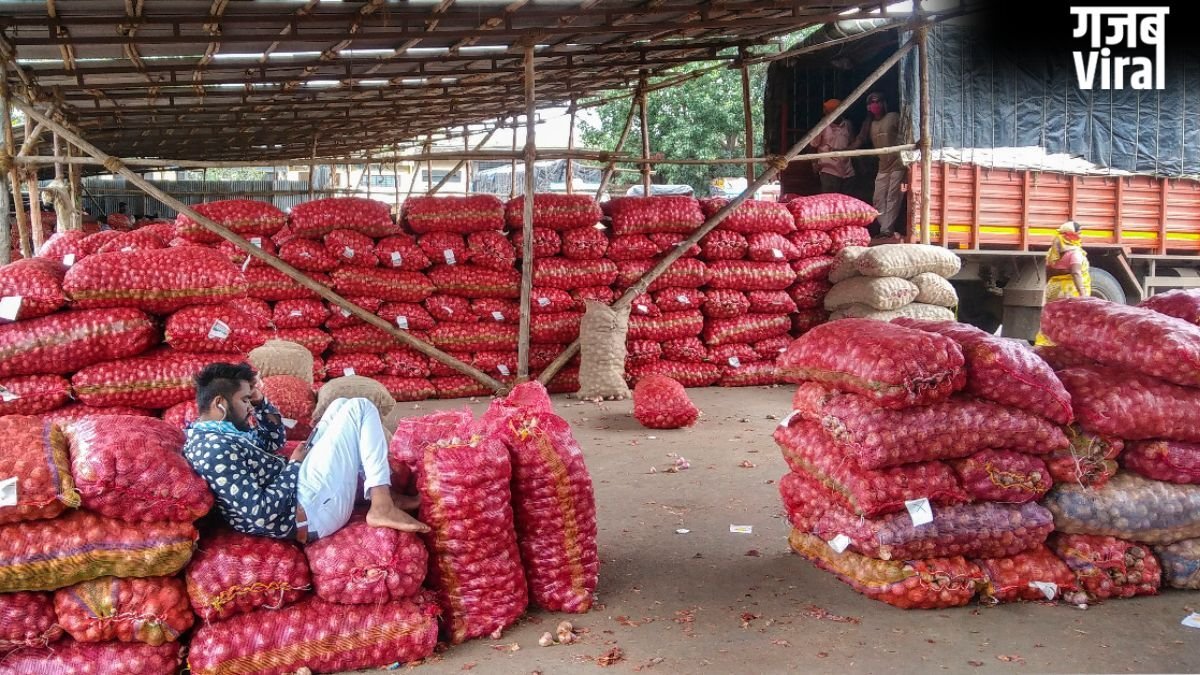 किसानों का सारा प्याज खरीदेगी सरकार, इस भाव पर होगी खरीद, चेक करें डिटेल्स​