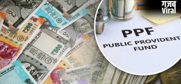 PPF अकाउंट हो गया है मैच्योर? जल्दबाजी में न लें फैसला! इन 3 विकल्पों से आपका पैसा होता रहेगा दोगुना
