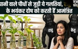 Water Plants Vastu: घर में लगा रखे हैं पानी वाले पौधे तो कभी न करें ये 5 गलतियां, नहीं तो राहु-केतु कर देंगे बर्बाद​