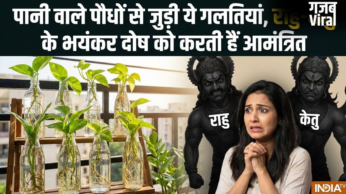 Water Plants Vastu: घर में लगा रखे हैं पानी वाले पौधे तो कभी न करें ये 5 गलतियां, नहीं तो राहु-केतु कर देंगे बर्बाद​