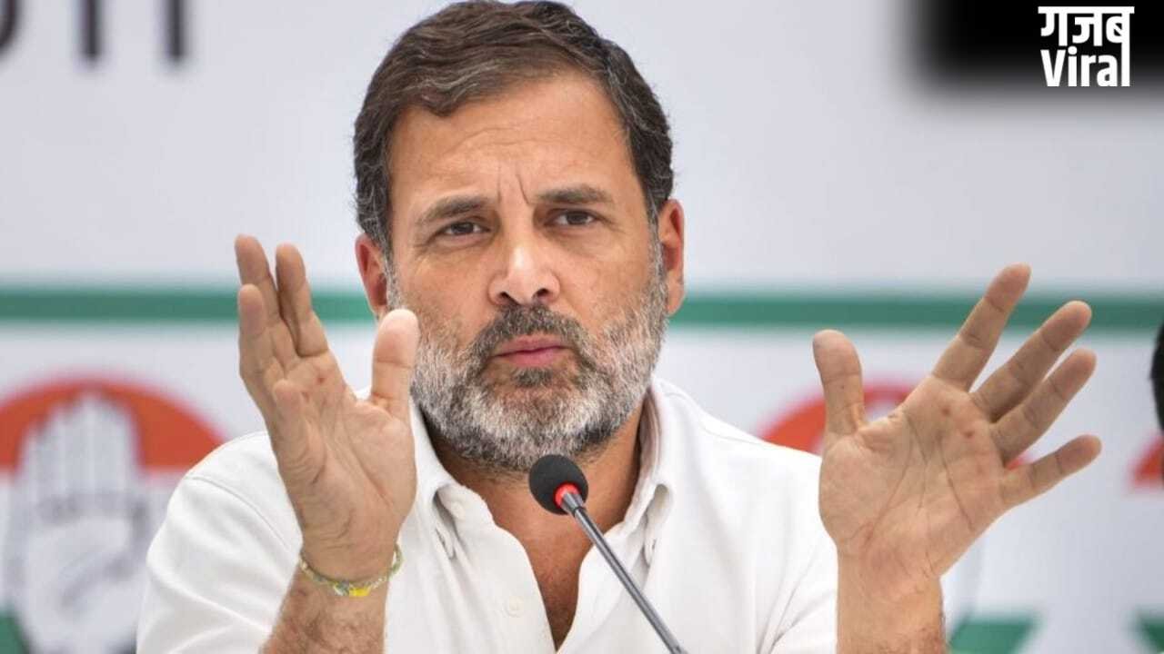 राहुल गांधी की बढ़ सकती हैं मुश्किलें, आय से अधिक संपत्ति के आरोप पर हाईकोर्ट ने CBI-ED से 8 हफ्ते में मांगा जवाब​