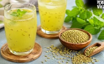 गर्मियों में शरीर को ठंडा रखने के लिए घर पर बनाएं सौंफ का शरबत, नोट करें रेसिपी​