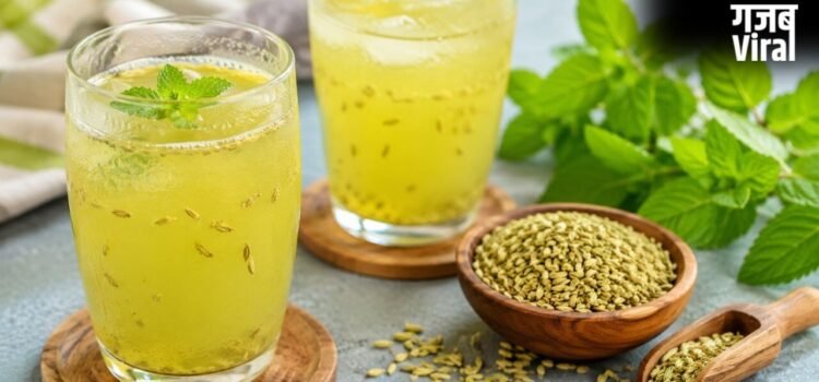 गर्मियों में शरीर को ठंडा रखने के लिए घर पर बनाएं सौंफ का शरबत, नोट करें रेसिपी​
