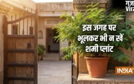 Shami Plant Vastu: घर पर यहां गलती से भी न लगाएं शमी का पौधा, पैसा आने की बजाय छा सकती है कंगाली!​