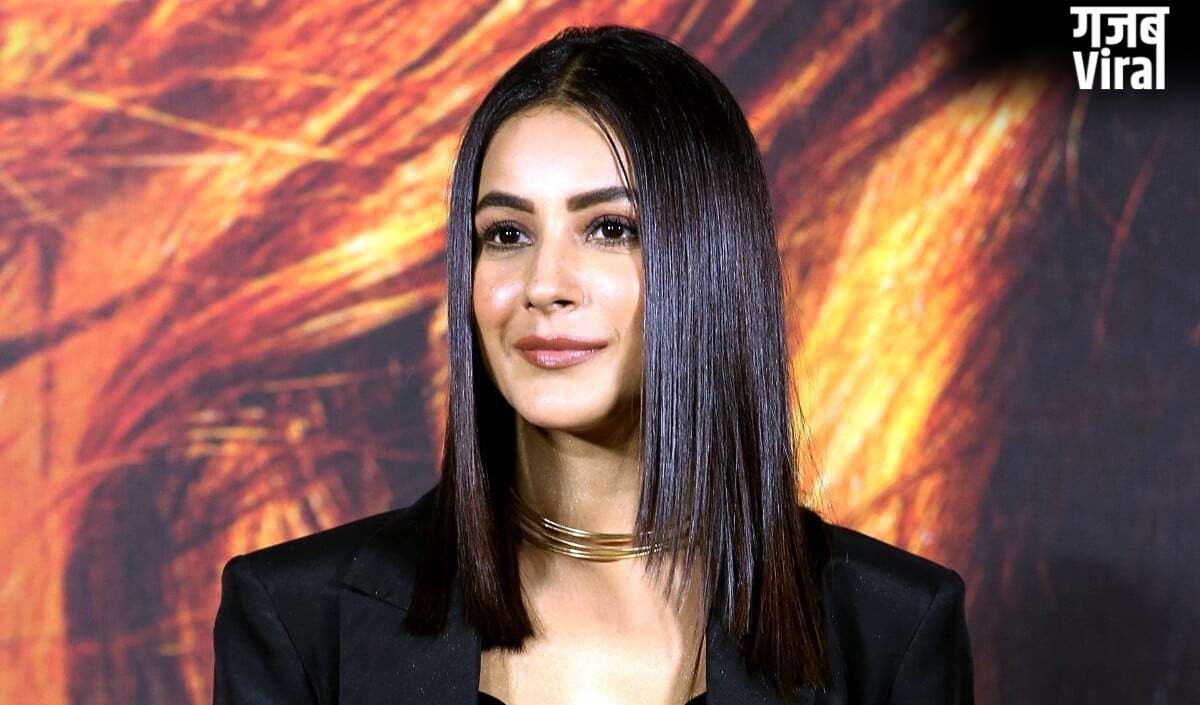 क्या Shehnaaz Gill और क्रिकेटर Devdutt Padikkal के बीच पक रही है कुछ खिचड़ी? IPL मैचों में एक्ट्रेस की मौजूदगी ने बढ़ाईं धड़कनें​