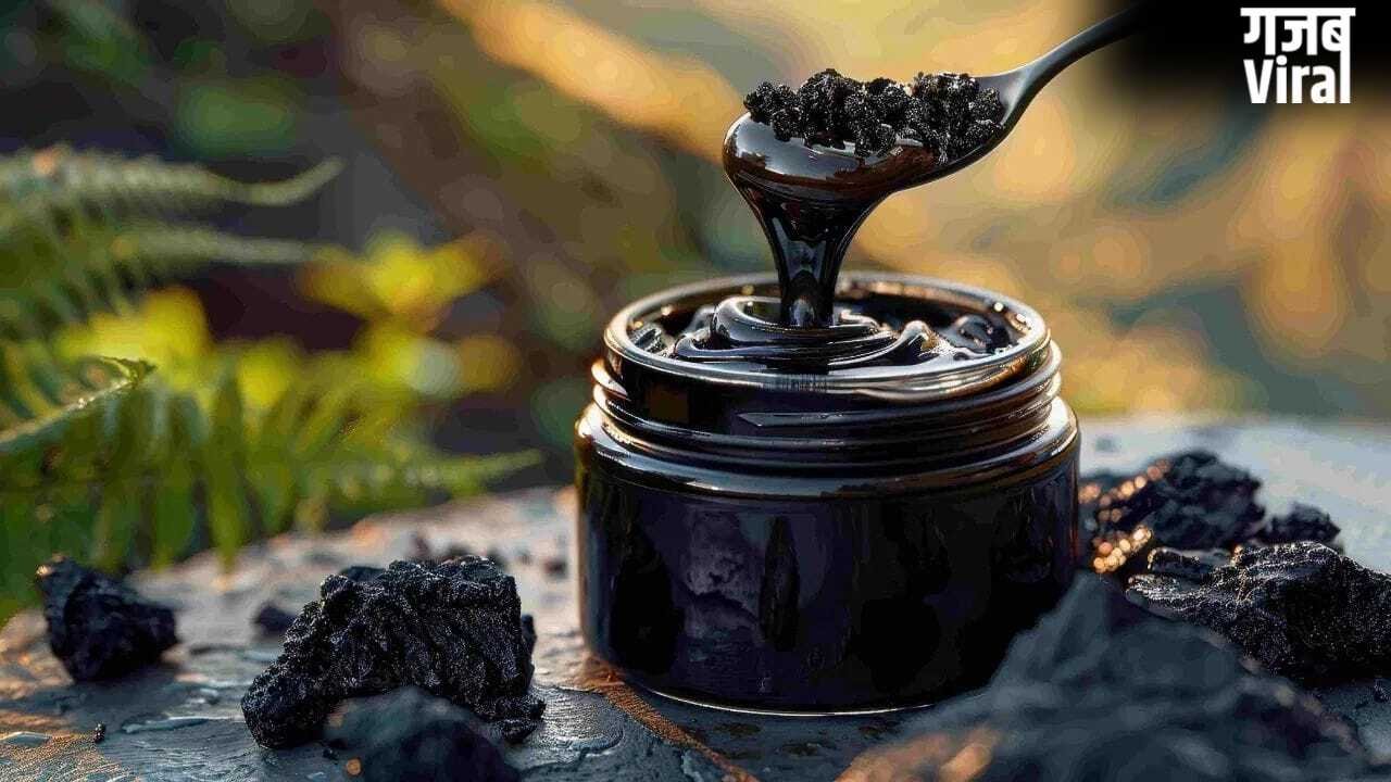 शिलाजीत से कर सकते हैं लाखों की कमाई, कहां से निकलता है ये ‘काला सोना’?