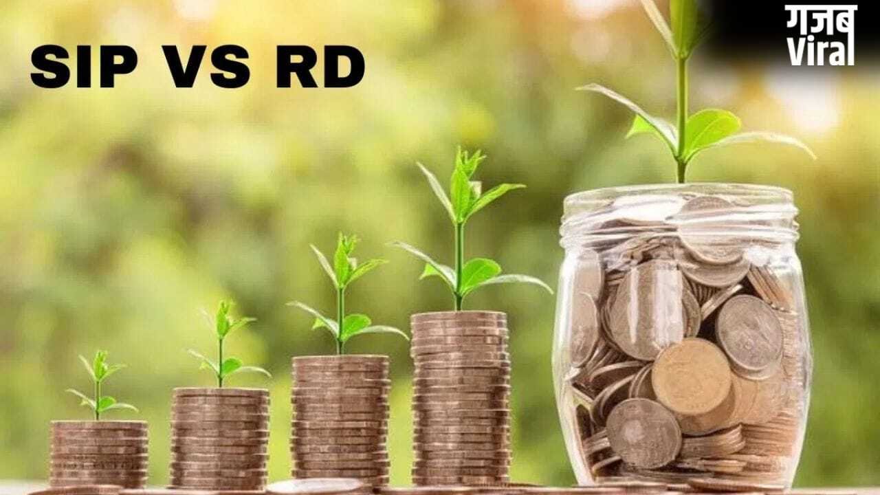 RD Vs SIP: 10 हजार रुपये मंथली जमा करके, कहां बनेगा सबसे ज्यादा फंड