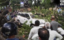 यूपी में आंधी-तूफान ने बरपाया कहर, 37 की मौत, कई बिल्डिंग्स की दीवारें गिरीं, मलबे में दबे लोग, जड़ से उखड़े पेड़​