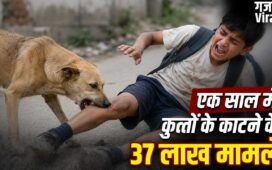 Stray Dogs Case Verdict: न UP, न गुजरात, किस राज्य में कुत्तों के काटने के सबसे ज्यादा मामले? SC ने सुनाया फैसला​