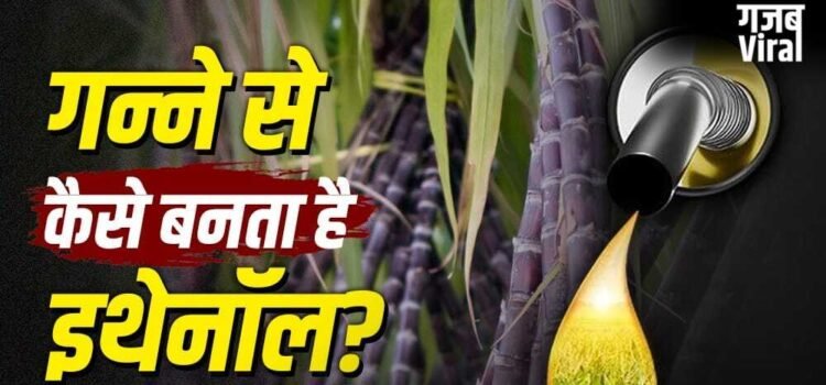 Ethanol: गन्ने से कैसे तैयार होता है इथेनॉल? पेट्रोल इसे 30 फीसदी तक मिलाने की तैयारी Ethanol: गन्ने से कैसे तैयार होता है इथेनॉल? पेट्रोल इसे 30 फीसदी तक मिलाने की तैयारी