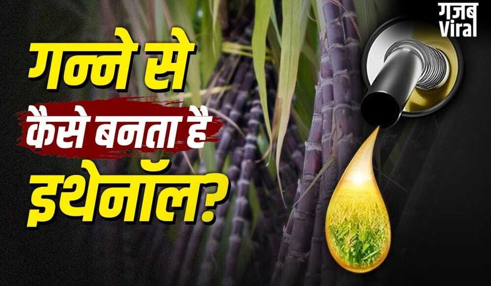 Ethanol: गन्ने से कैसे तैयार होता है इथेनॉल? पेट्रोल इसे 30 फीसदी तक मिलाने की तैयारी