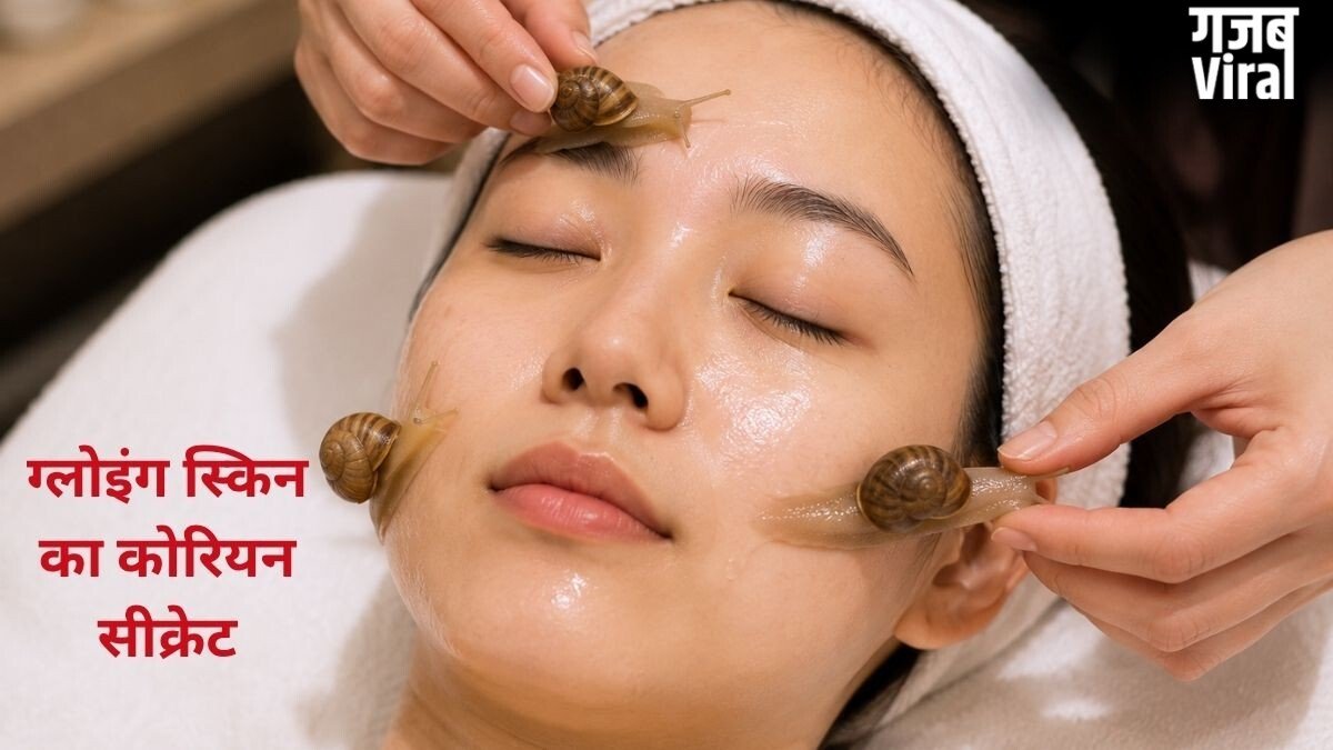 Snail Massage: क्या वाकई कोरियन ब्यूटी ट्रेंड से बढ़ते हैं ‘हैप्पी हॉर्मोन’? स्किन टिश्यू रिपेयर और तनाव पर क्या होता है असर, जानिए