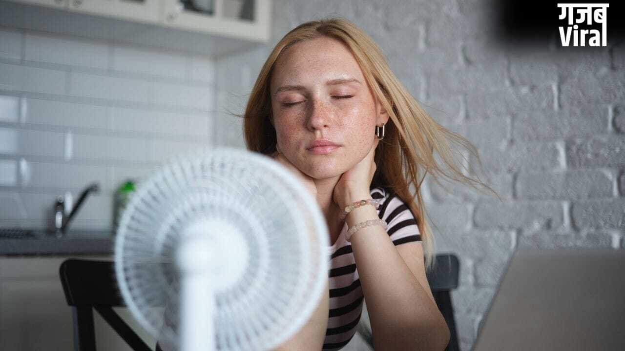 Heat Stroke Risk: भारत में गर्मी का कहर, भूल से भी बाहर न निकले ये लोग, एक्सपर्ट ने बताया​