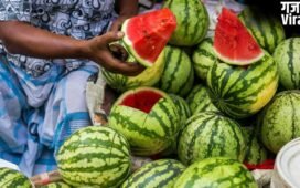 Watermelon Capital of India: ये है वाटरमेलन कैपिटल ऑफ इंडिया, यहां इस तरह पहुंचे, जानें हर डिटेल