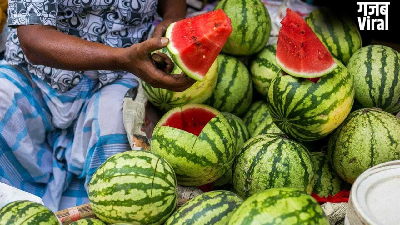 Watermelon Capital of India: ये है वाटरमेलन कैपिटल ऑफ इंडिया, यहां इस तरह पहुंचे, जानें हर डिटेल