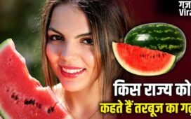 Watermelon: UAE-मालदीव तक भारतीय तरबूज की डिमांड, कौन सा राज्य सबसे ज्यादा उगा रहा?​