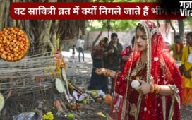 वट सावित्री व्रत में बिना चबाए क्यों निगले जाते हैं कच्चे चने? जानिए इस पूजा में भीगे चने का महत्व और रहस्य​