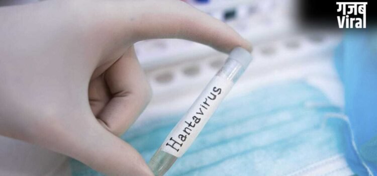 हंता वायरस को लेकर WHO का अलर्ट जारी, जानें भारत में कितना रिस्क?​